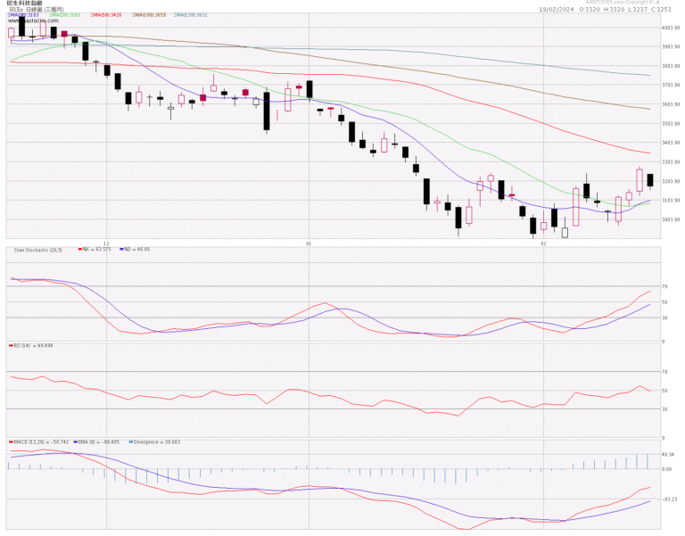 恒生科技指數分析 (19.2.2024)