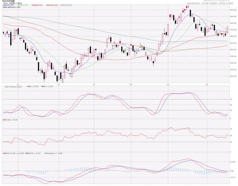 恒生科技指數分析 (19.6.2024)